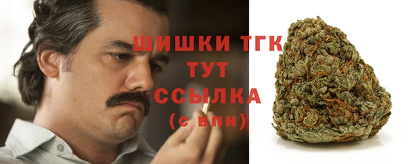 дурь Покачи