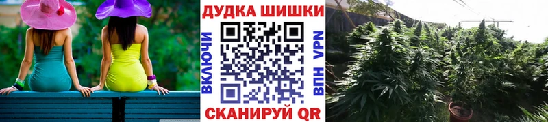 сколько стоит  Ветлуга  Шишки марихуана гибрид 